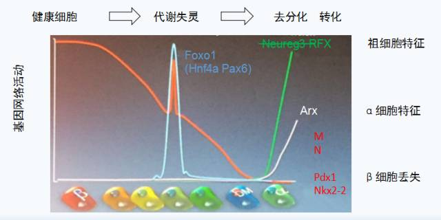 &#20061;&#28216;&#23448;&#26041;&#31471;&#20837;&#21475;&#45;&#20061;&#28216;&#40;&#20013;&#22269;&#41;