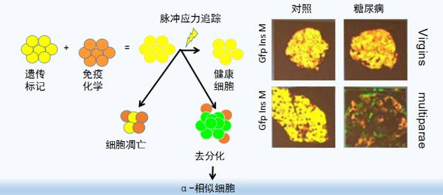 &#20061;&#28216;&#23448;&#26041;&#31471;&#20837;&#21475;&#45;&#20061;&#28216;&#40;&#20013;&#22269;&#41;